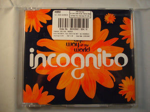CD Single (B6) -  Incognito ‎– That's The Way Of The World - CD DOME221