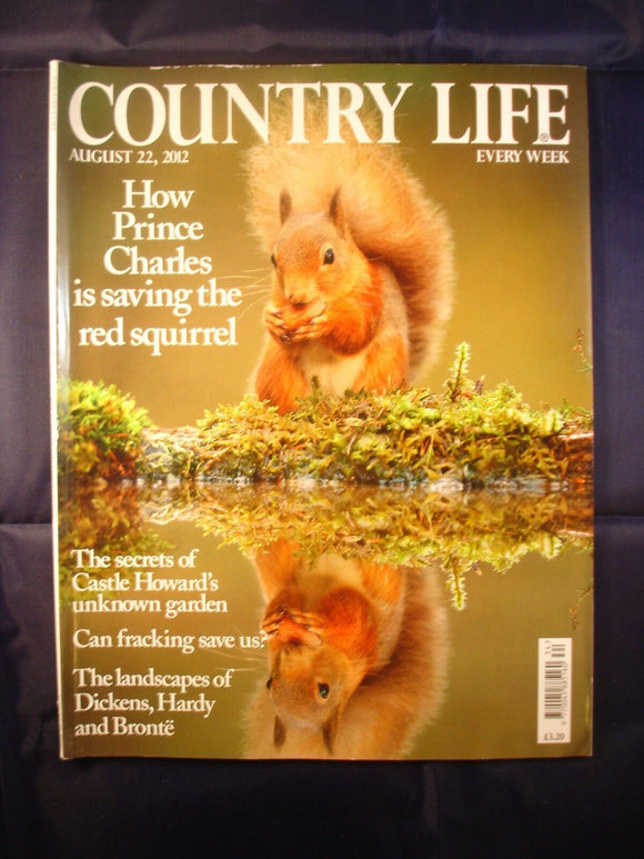 Country Life - August 22, 2012 - Red squirrel - Castle Howard