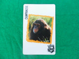 Ruckus Deadly 60 spare cards - wild animals - Individual cards
