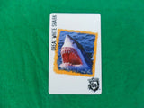 Ruckus Deadly 60 spare cards - wild animals - Individual cards