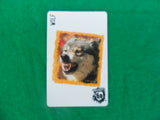 Ruckus Deadly 60 spare cards - wild animals - Individual cards