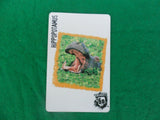 Ruckus Deadly 60 spare cards - wild animals - Individual cards