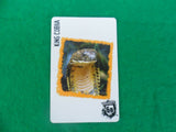 Ruckus Deadly 60 spare cards - wild animals - Individual cards