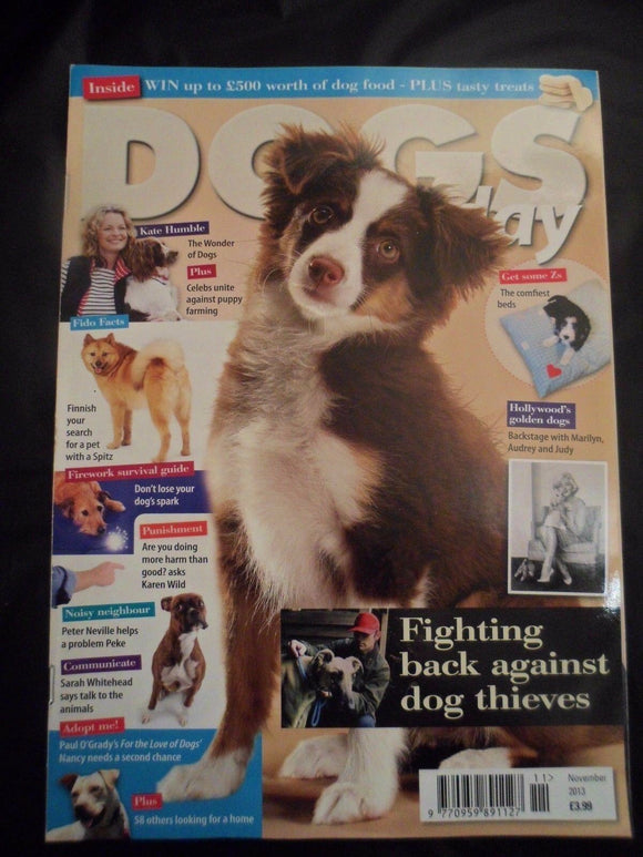 Dogs Today Magazine - November 2013