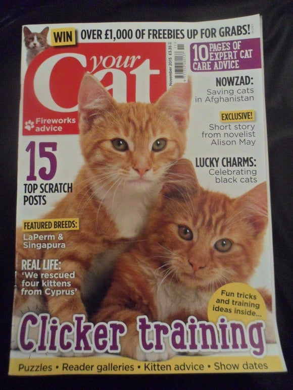 Your Cat Magazine - November 2015 - Laperm - Singapura