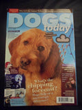 Dogs Today Magazine - April 2013