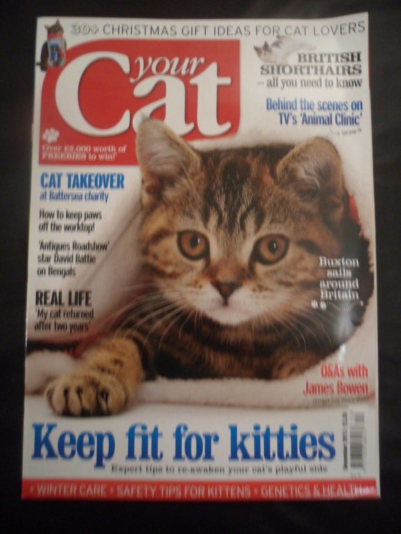 Your Cat Magazine - December 2013 - British Shorthair