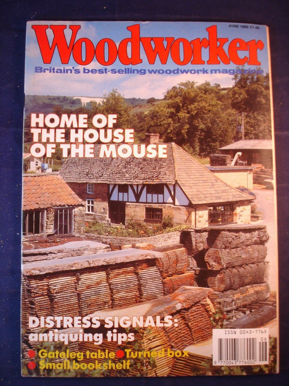 Woodworker magazine - June 1989