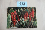 Postcard - Blanes - Costa Brava  -  632