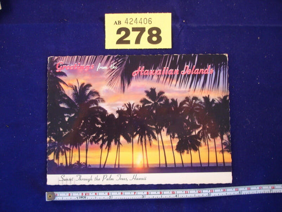 Postcard - Sunset through the palm trees - Hawaii