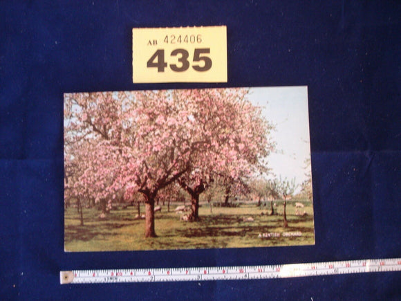 Postcard - Kent Orchard - Salmon 1 -64 - 00 - 02