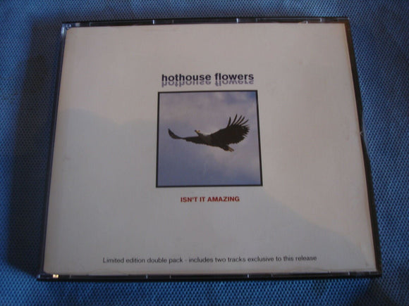 Hot House Flowers - Isn't it amazing - LOCDP343 - CD Single (B1)