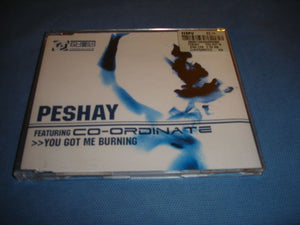 Peshay - You got me burning - CD Single