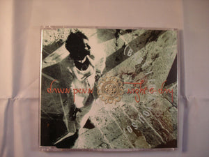 CD Single (B3) - Dawn Penn - Night and Day - A8249CD