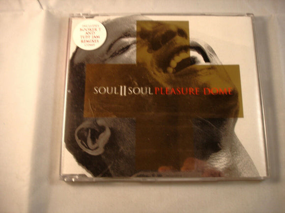 CD Single (B7) -  Soul II Soul ‎– Pleasure Dome   - CID 669