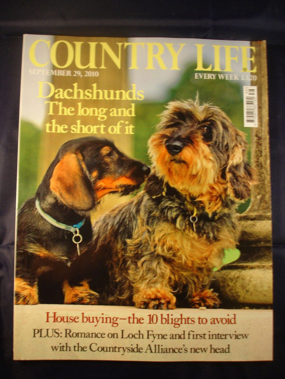 Country Life - September 29, 2010 - Dachsunds - House buying 10 blights to avoid