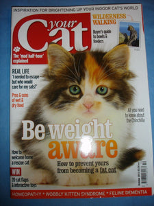 Your Cat Magazine October 2013 All you need to know about the Chinchilla