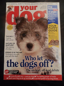 Your Dog Magazine - April  2014 -  Irish Wolfhound - Coping with Cancer