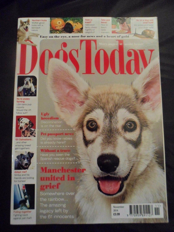 Dogs Today Magazine - November 2014