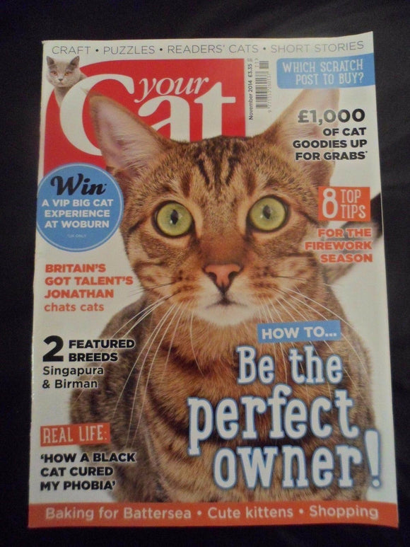 Your Cat Magazine - November 2014 - Singapura - Birman