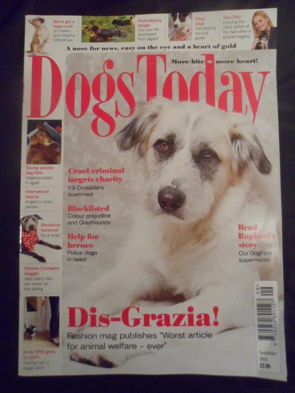Dogs Today Magazine - September 2015