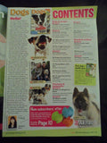 Dogs Monthly Magazine - February 2013 - Akitas - cook for your dog