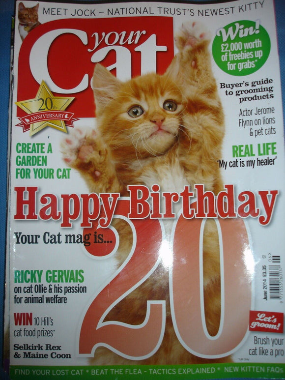 Your Cat Magazine June 2014 Selkirk Rex and Maine Coon