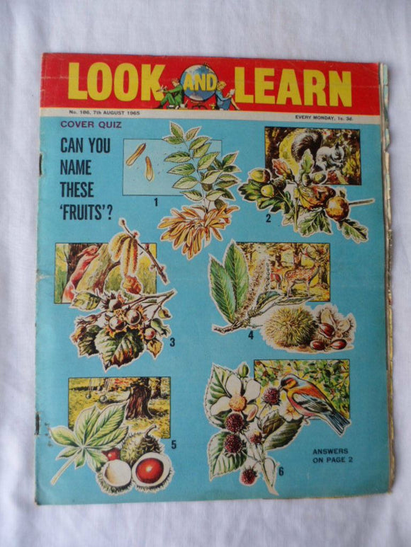 Look and Learn Comic - Birthday gift? - issue 186 - 7th August 1965