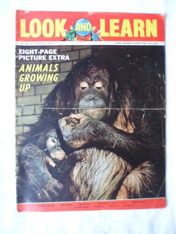 Look and Learn Comic - Birthday gift? - issue 85 - 31 August 1963