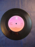 7'' Single Pop - Acker Bilk - Fool on the hill - Aria - 7N 45607