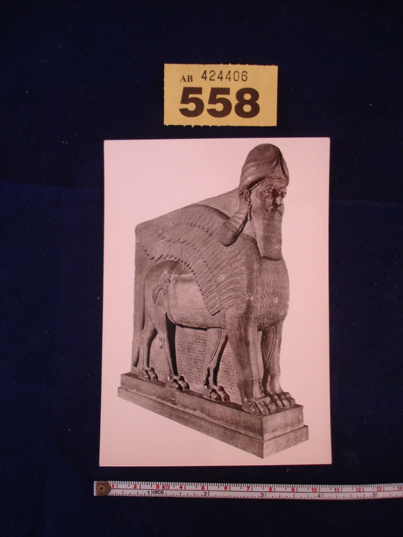 Postcard - British Museum - Colossal winged human headed lion of Ashur Nasil Pal